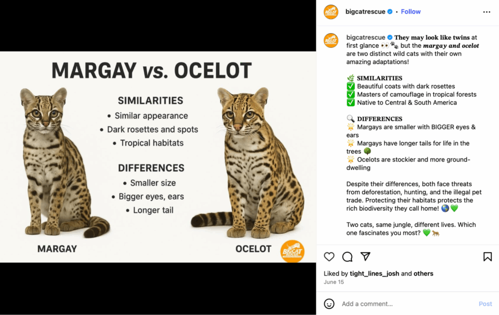 Educational content 