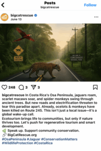 Unique Visuals