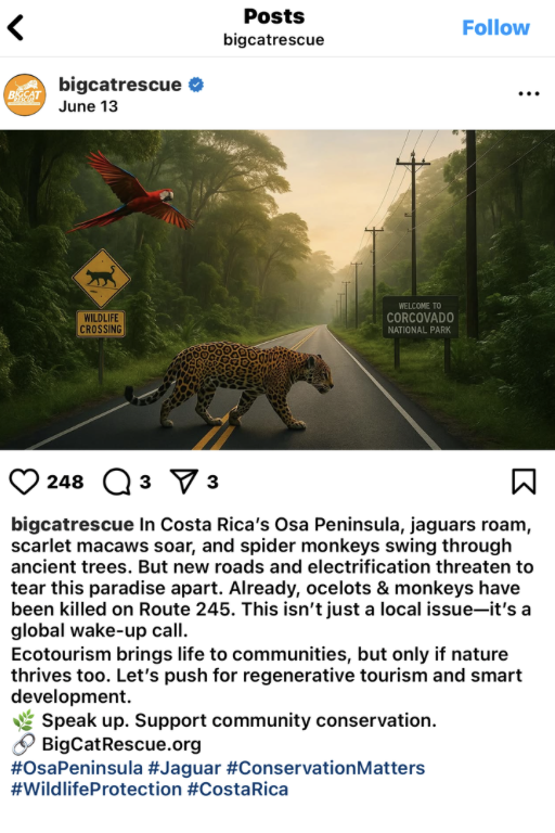Unique Visuals 