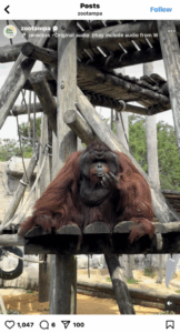 Celebrate National Days